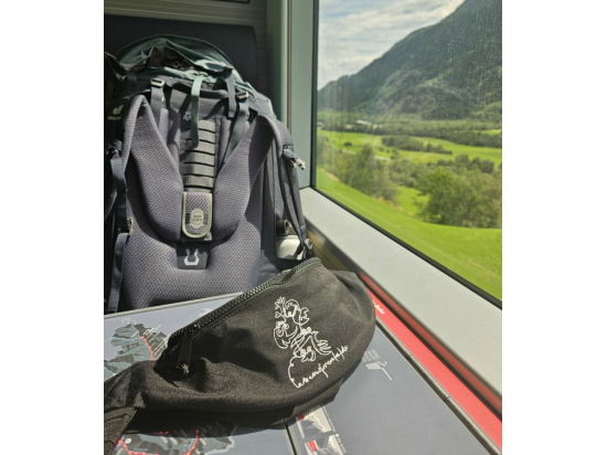 Bauchtasche (VS)