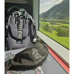 Bauchtasche (VS)